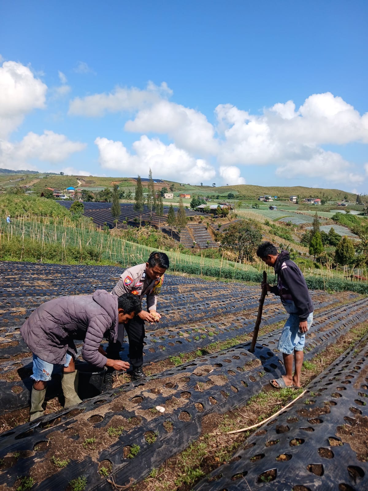 Polsek Lembang Jaya Laksanakan Program Ketahanan Pangan di Nagari Batu Banyak