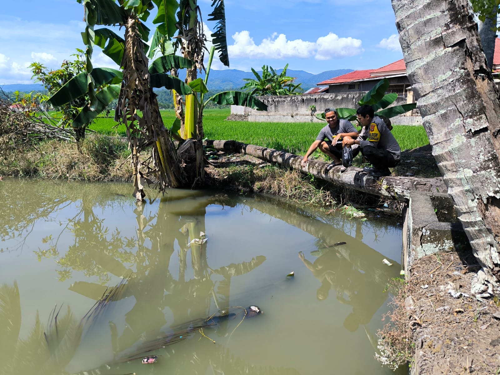 Polsek Kubung Gelar Kegiatan Ketahanan Pangan Pemanfaatan Kolam Ikan