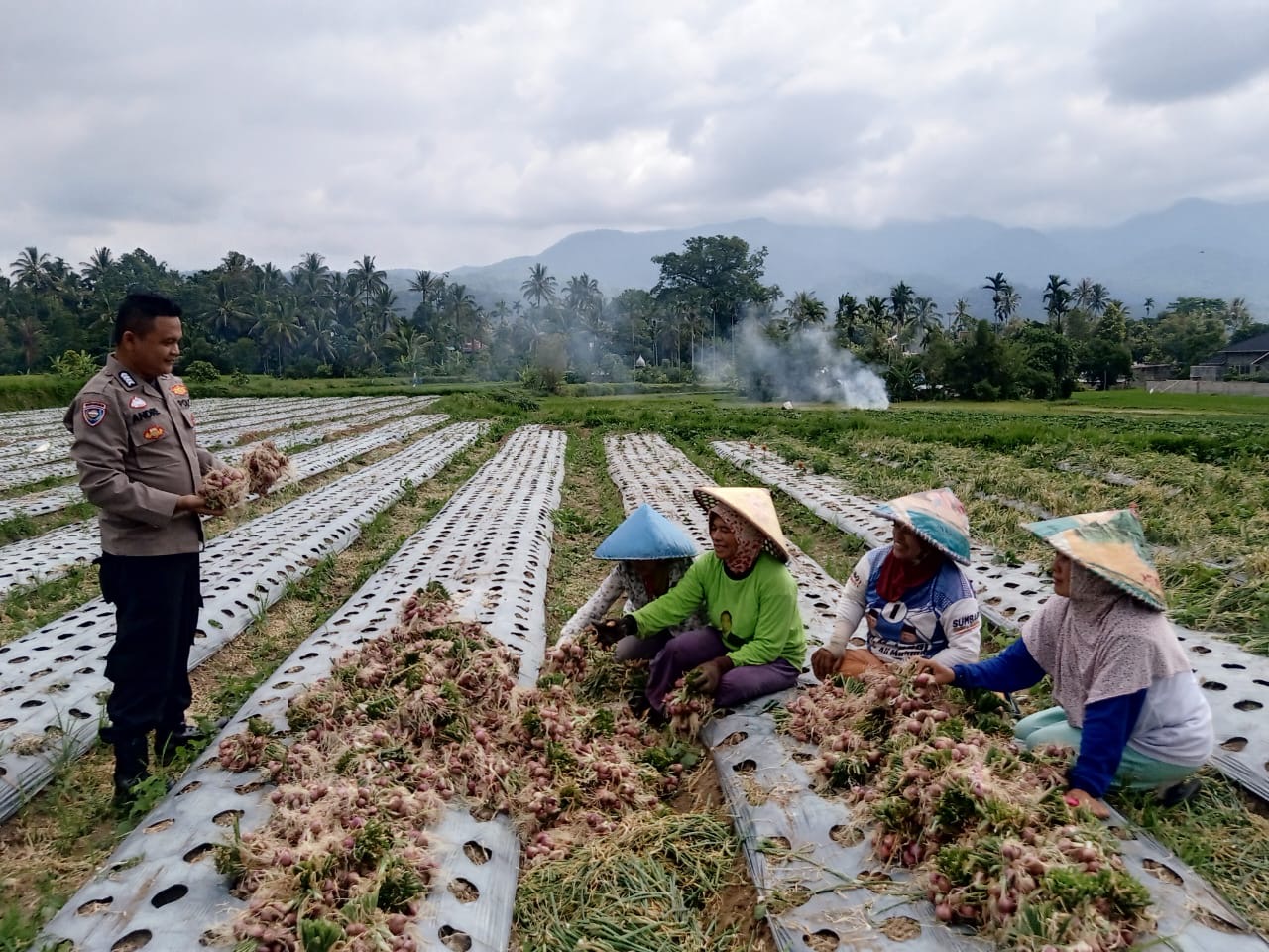 Bhabinkamtibmas Himbau Petani di Gunung Talang untuk Optimalkan Pemanfaatan Lahan Demi Ketahanan Pangan